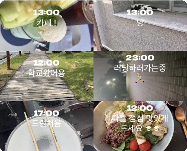 참가자들이 올린 일상 영상 여섯 개. 카페, 고양이, 학교, 러닝, 드럼, 점심 식사 장면에 시간과 짧은 글이 적혀 있다.